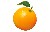 Orange Mailer logo